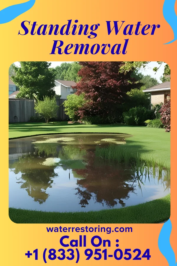 Standing Water Removal in Brookston, IN